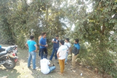jci-picnic-23