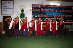 damauli114